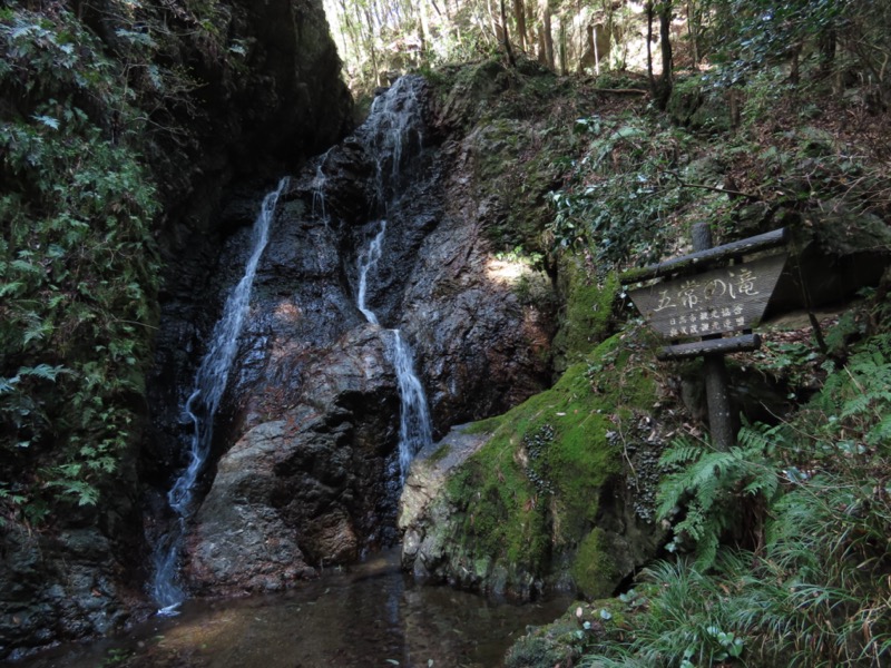 日和田山、物見山